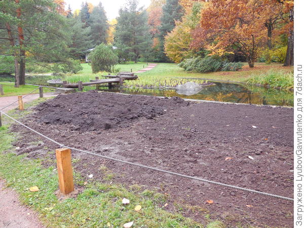 Заготовлено место для расширения посадок