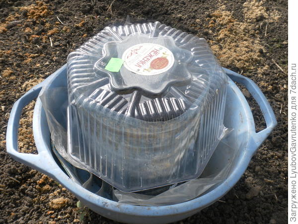 Мини-тепличка пошла в работу!