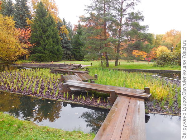 Мост Яцухаси над ирисовым островом, ГБС
