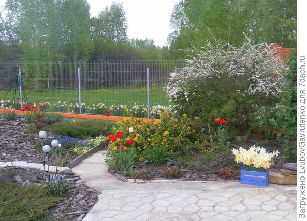 &quot;Соловьёвский&quot; в мае 2018...Опять уже пишу план на осень!!!