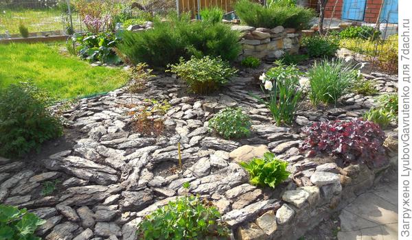 Дальний цветник весной.