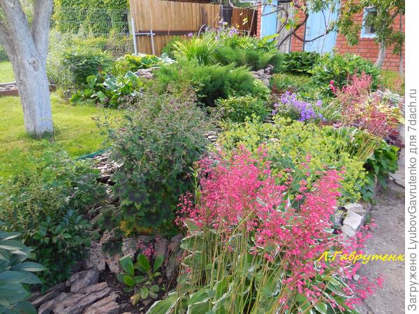 Этот же цветник летом.