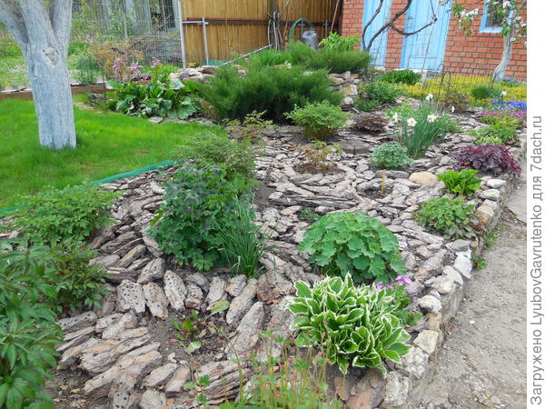 Весна в Дальнем цветнике.