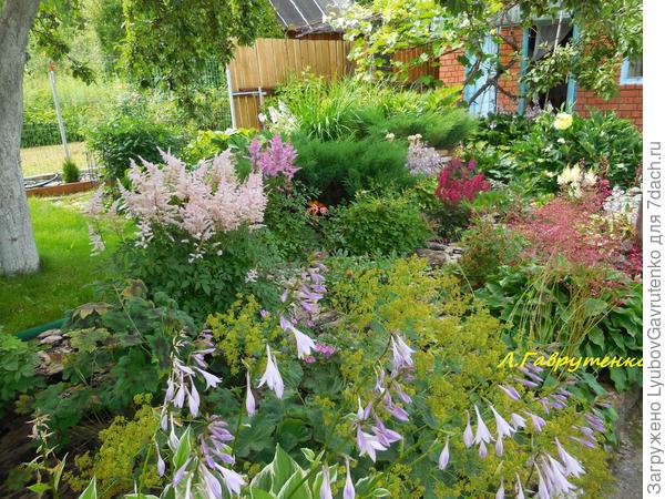 Дальний летом.