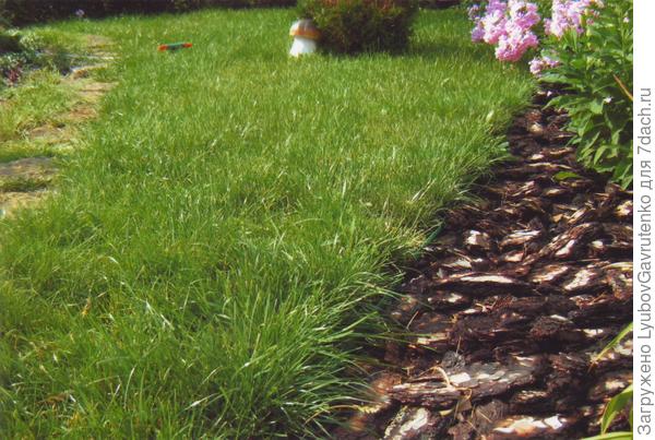 Кора не даёт газону нарастать на миксбордер. Конечно, на это работает и вкопанная бордюрная лента.