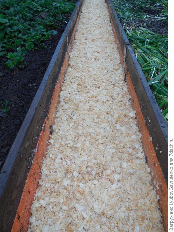 Ах, как люблю ухоженный огород!