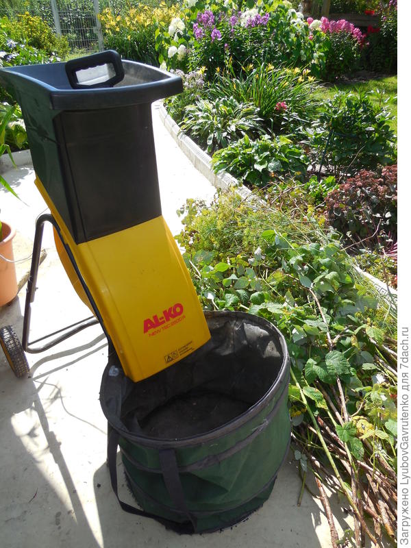 Мой любимец готов к работе!