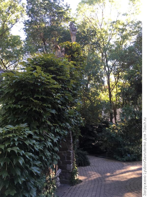 Вот так виноград декорирует стену! Правда, должна признаться, что между этими фотками разница в 6 лет))) Нужно быть терпеливыми...