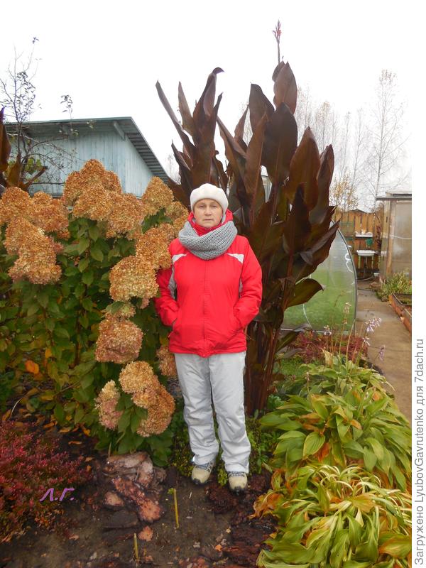 Конечно, за такую листву простишь и невзрачное цветение)