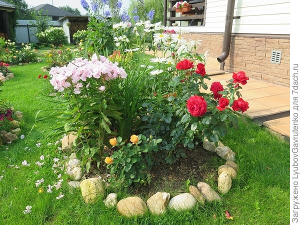 И декоративность спорная, и газон стричь неудобно