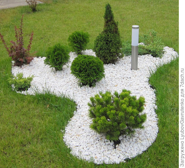 Не оставили 10 см по периметру посадочного места для прохождения колёс газонокосилки - вот и придётся достригать &amp;quot;хвосты&amp;quot;