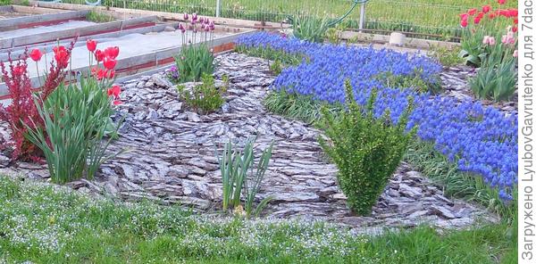 Наш ВЕСНАРИЙ)