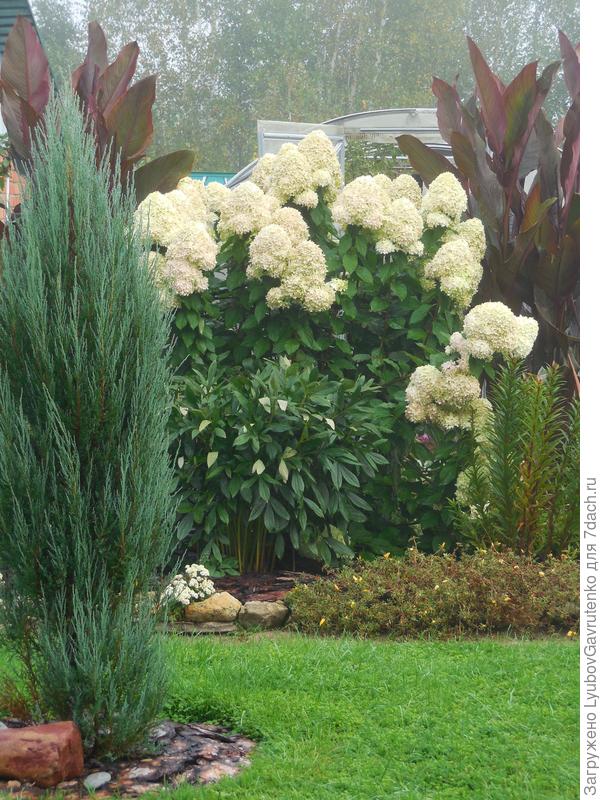 Вот это фото от 4 сентября