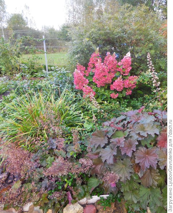 ...и в сентябре