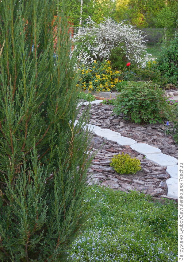 Вид на цветник "Соловьёвский" с лужайки