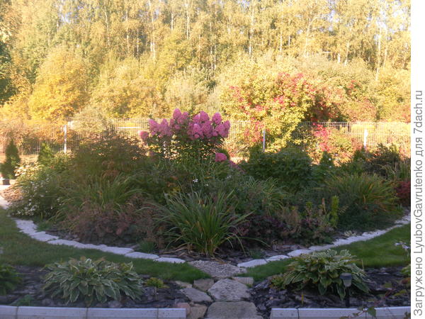 Цветник &amp;quot;Главный&amp;quot; в погожий осенний день