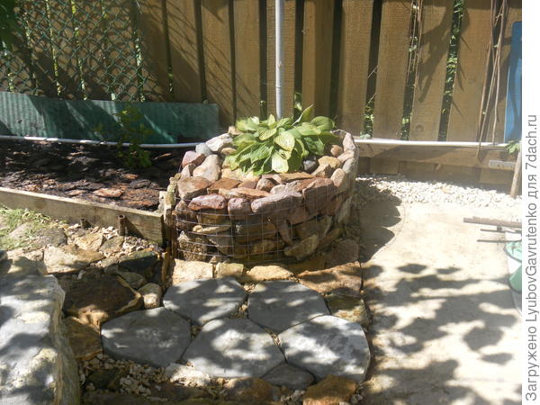 Хоста разрастётся, но местечко для подноса с арбузом к бане останется!