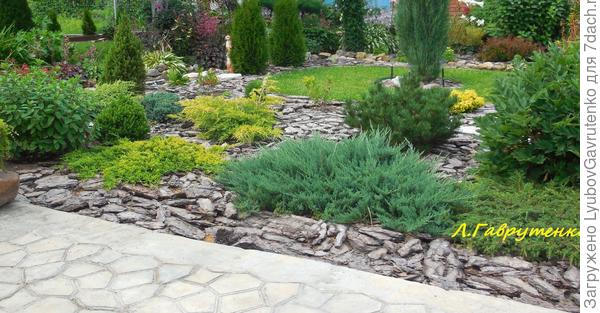 Жду теперь, когда стелющиеся можжевельники нарастут на мощение отремонтированного патио...