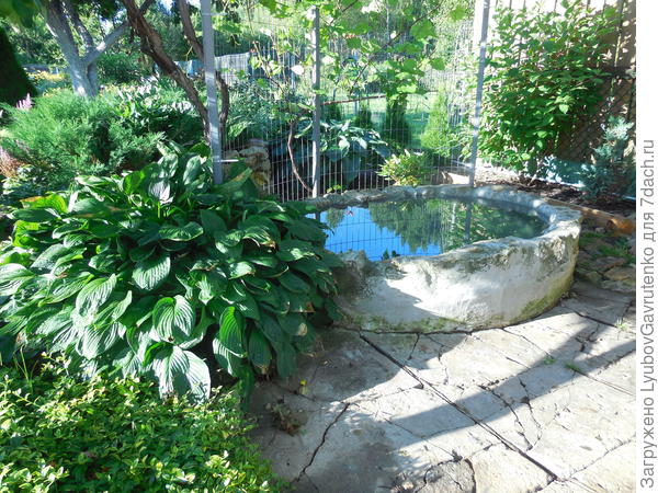 Нарастающие на мощение растения сглаживают жёсткую границу