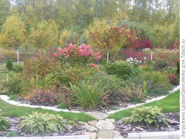 Конец сентября. А анемона (на фото справа) холода не боится!