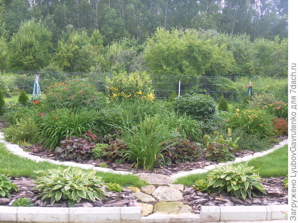 Июль - подошло время лилейников