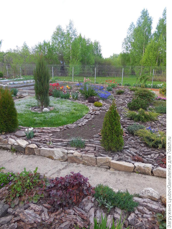 Вид на ГОРТВОЯРИЙ))) -хвойные+гортензии (это апрель - гортензии на дальнем плане пока не отросли)