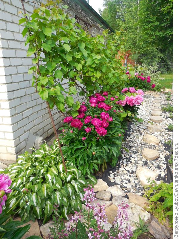 &quot;Кабардинка&quot;