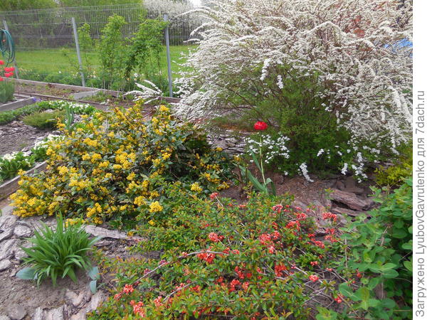 &quot;Соловьёвский&quot;