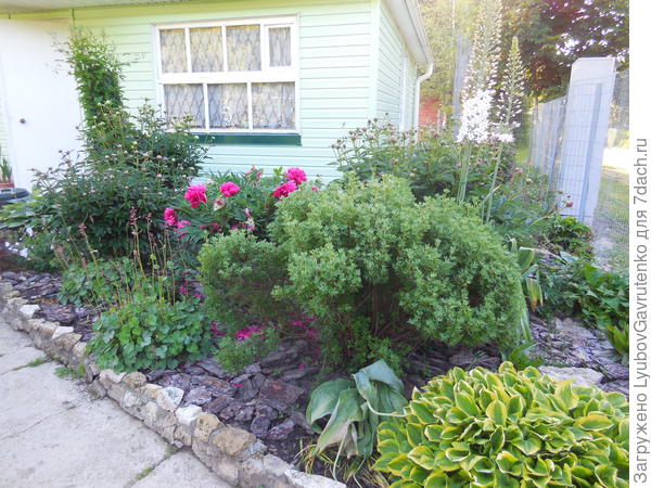 Цветник &quot;Передний&quot;