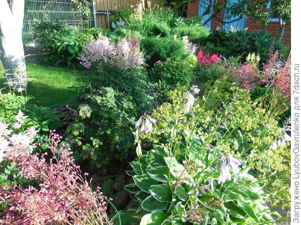 Миксбордер перешёл в &quot;Дальний&quot;