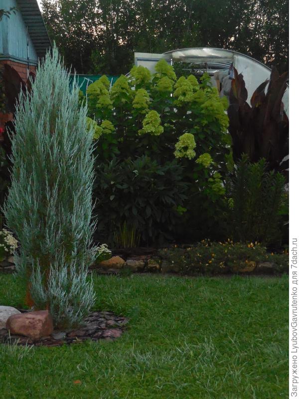 Снимок без обработки - просто вечерний)