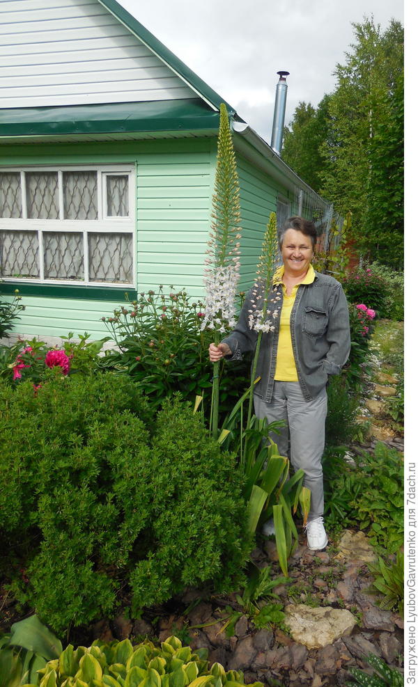 Ну, я - вместо спичечного коробка)))для масштаба