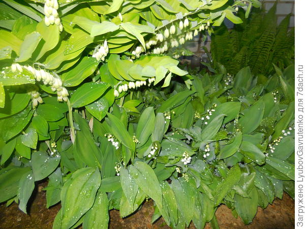 В одном стиле, правда?