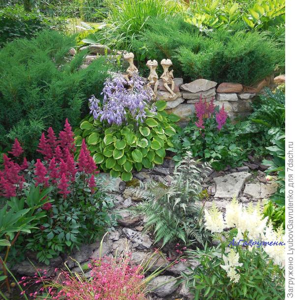 Забавные чешские жЯбаки на приподнятой клумбе