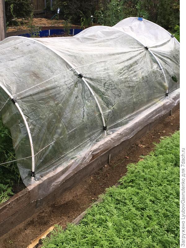 Как вовремя!