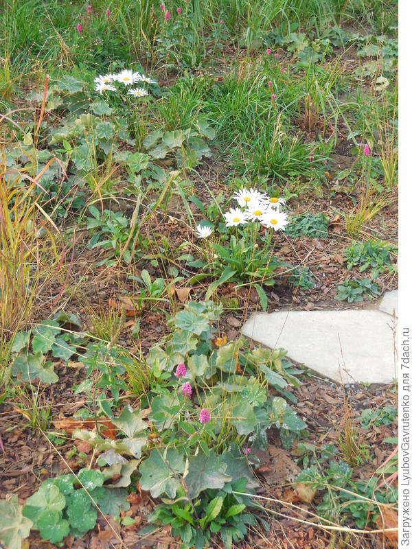 Ну что здесь воровать?