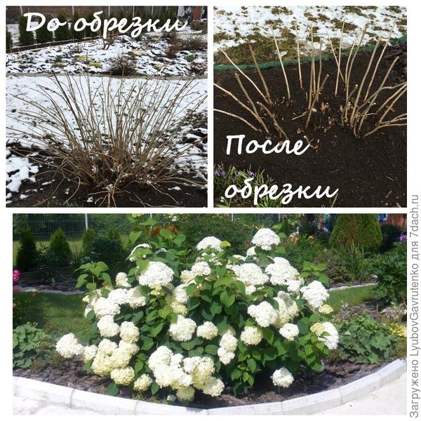 Сезон-2019. Из серии «Было – стало»