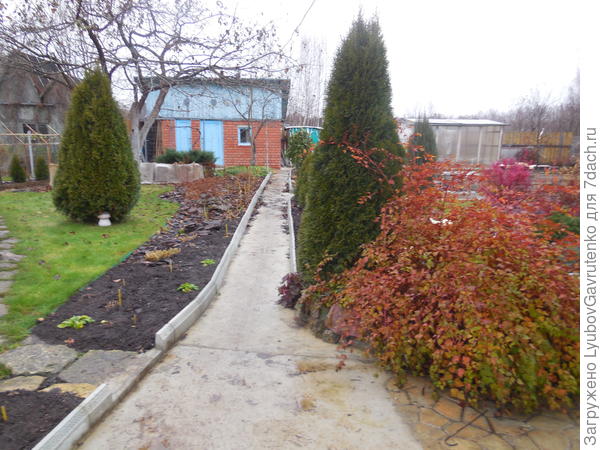 Не сдаётся и вноябре