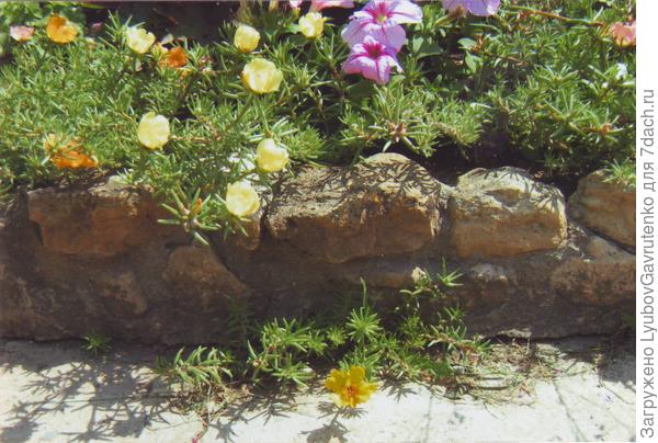 Настоящий спартанец!