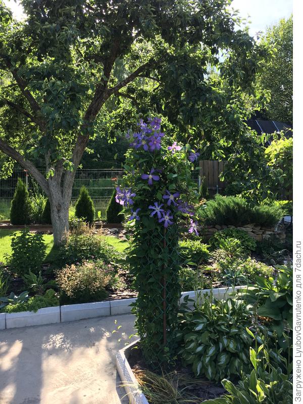 Время любоваться)