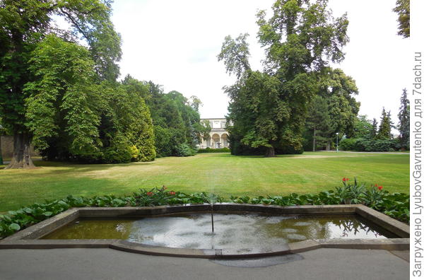 Там же. В компании канн