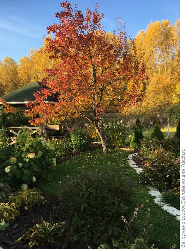 Ну красавица же!