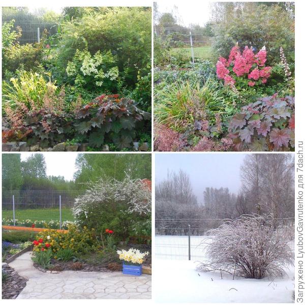 Это коллаж &quot;Четыре времени года&quot;