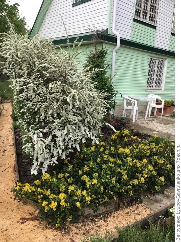 Другой ракурс