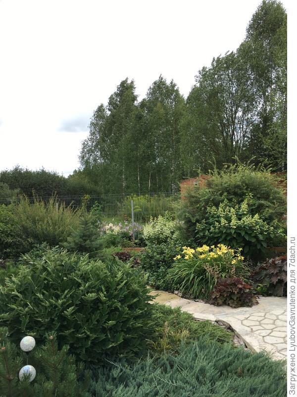 Теперь вот так - 50 оттенков зелёного...