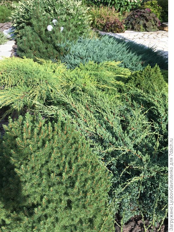 И кто помешает мне  называть это ХВОЯРИЕМ?