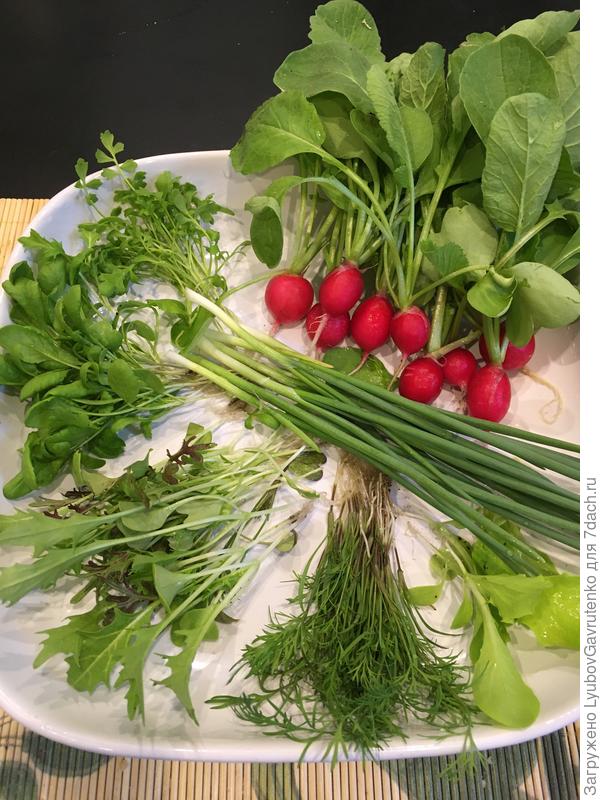 21 апреля - первый зелёный салат)