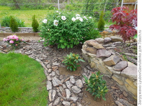 Небольшая приподнятая клумба в Дальнем цветнике, май