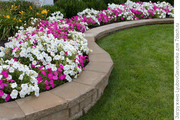 Фото из сети