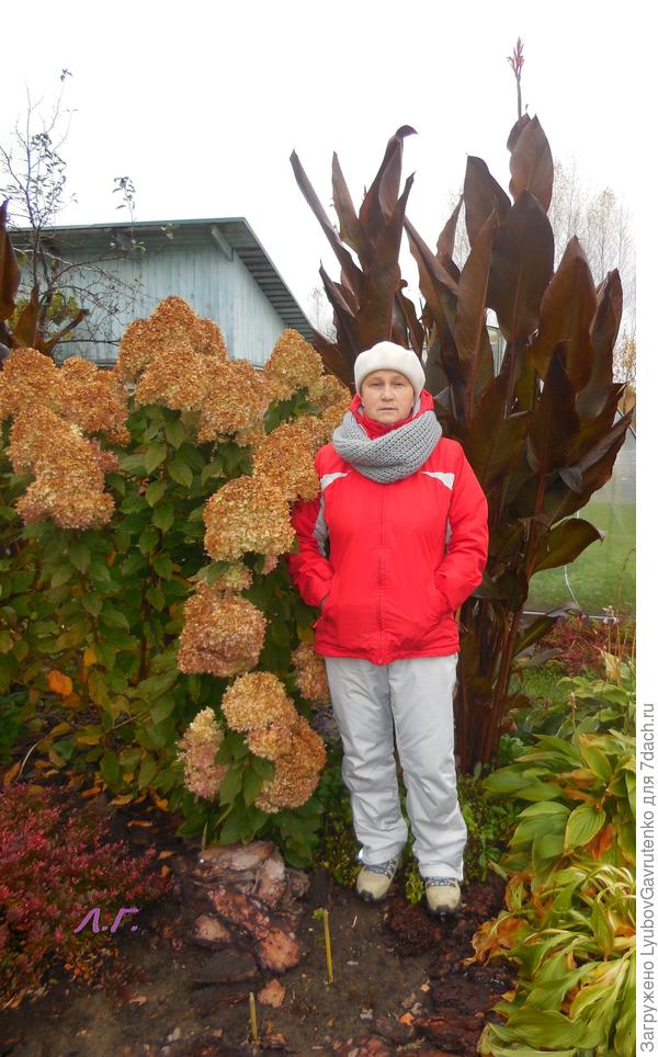 Вот такой у нас был сорт "от бабушки с рынка" - цветки невзрачные на высоте метра три, но листья впечатляли)